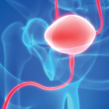 UCLA State-of-the-Art Urology 2021 (Videos)