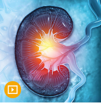 Intensive Review of Nephrology 2022 (Videos)