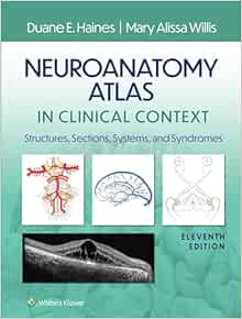 Neuroanatomy Atlas in Clinical Context: Structures, Sections, Systems, and Syndromes, 11th Edition (EPUB)